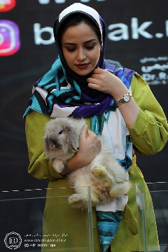 کلینیک دکتر علیرضا رحیمی ممقانی